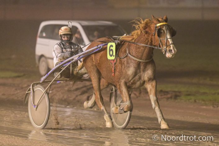 2451 Wolvega -Koers 9 -032